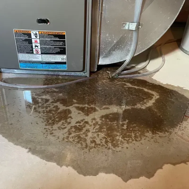 Appliance Leak Cleanup in Sparta, IL